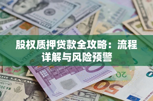 武汉股权质押贷款全攻略：流程详解与风险预警