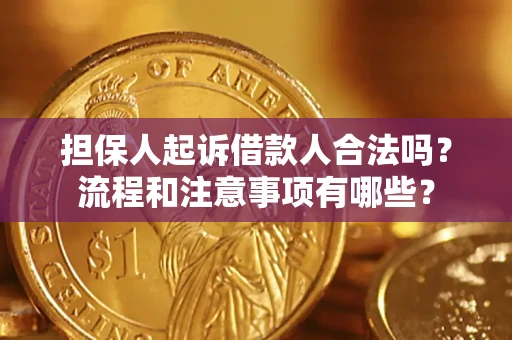 武汉担保人起诉借款人合法吗？流程和注意事项有哪些？