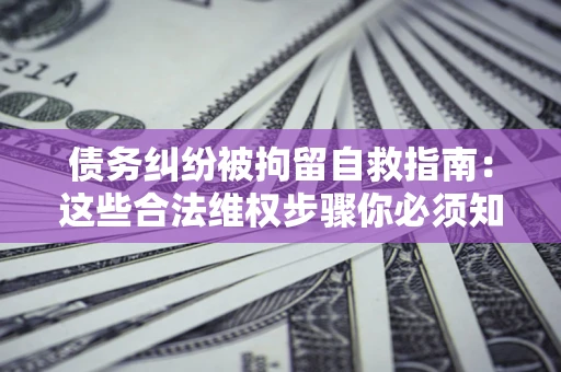 武汉债务纠纷被拘留自救指南：这些合法维权步骤你必须知道！