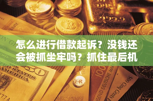 武汉怎么进行借款起诉？没钱还会被抓坐牢吗？抓住最后机会！