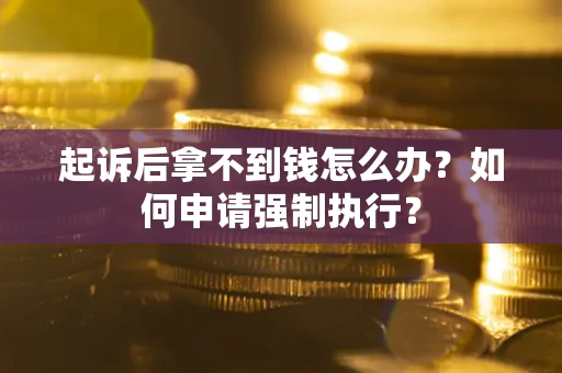 武汉起诉后拿不到钱怎么办？如何申请强制执行？