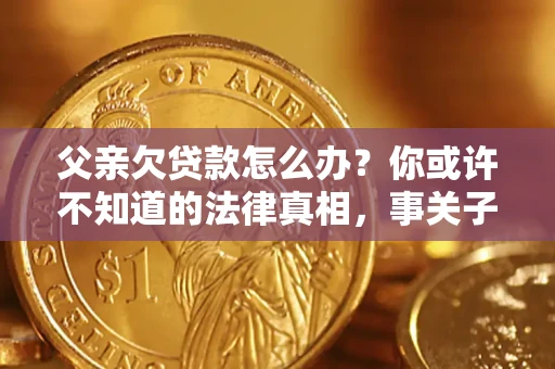 武汉父亲欠贷款怎么办？你或许不知道的法律真相，事关子女未来