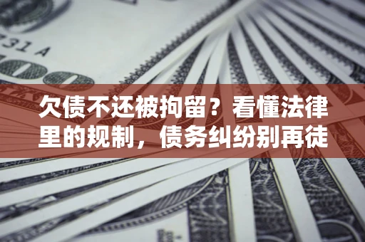 武汉欠债不还被拘留？看懂法律里的规制，债务纠纷别再徒劳奔波