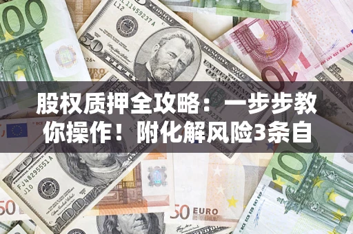 武汉股权质押全攻略：一步步教你操作！附化解风险3条自救法则