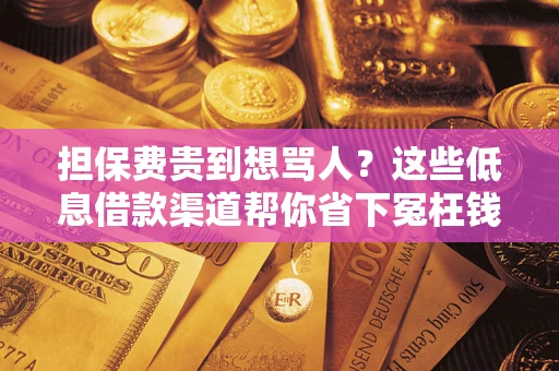 武汉担保费贵到想骂人？这些低息借款渠道帮你省下冤枉钱