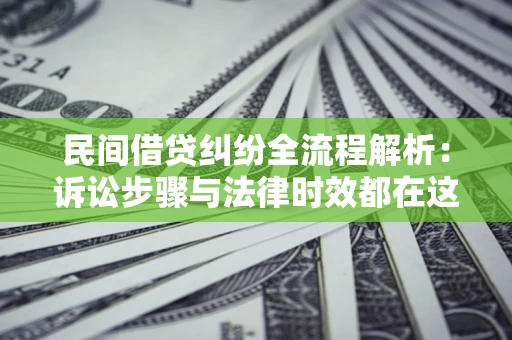 武汉民间借贷纠纷全流程解析：诉讼步骤与法律时效都在这儿了
