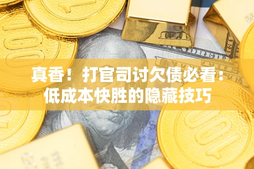 武汉真香！打官司讨欠债必看：低成本快胜的隐藏技巧