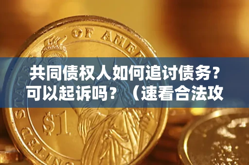 武汉共同债权人如何追讨债务？可以起诉吗？（速看合法攻略）