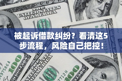武汉被起诉借款纠纷？看清这5步流程，风险自己把控！