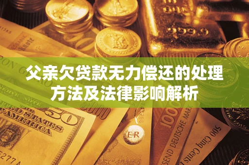 武汉父亲欠贷款无力偿还的处理方法及法律影响解析
