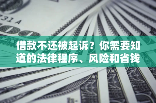 武汉借款不还被起诉？你需要知道的法律程序、风险和省钱技巧