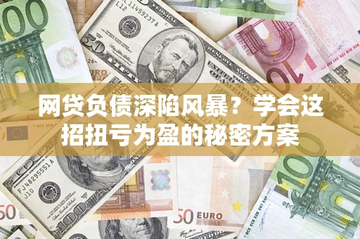 武汉网贷负债深陷风暴？学会这招扭亏为盈的秘密方案